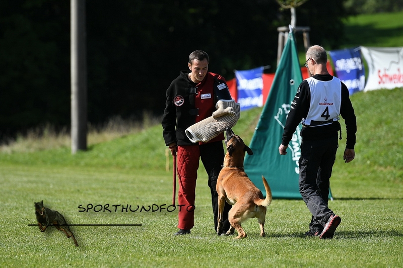04 C 087.jpg